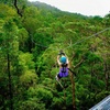 Image 10: Treetop Challenge Adrenaline Pass