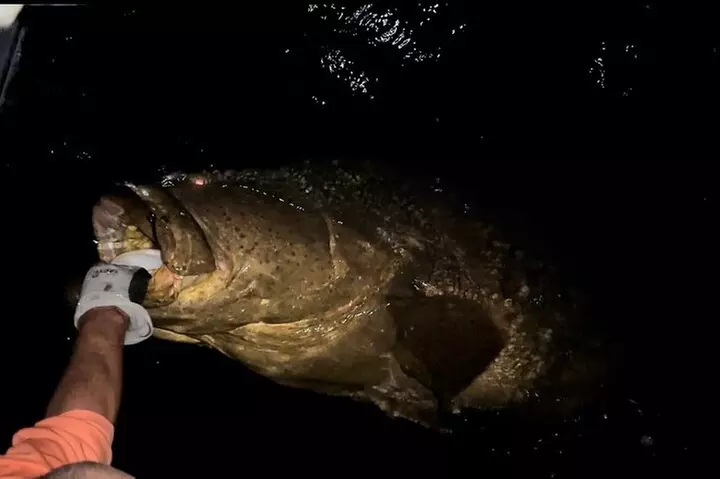 Sport Fishing with "Captain Extreme" from Ultimate Outdoors TV - Primary Image