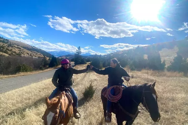 Blue Flower Trail Ride