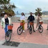 Image 7: Tours privados en bicicleta - Ruta personalizable, lo más destacado...