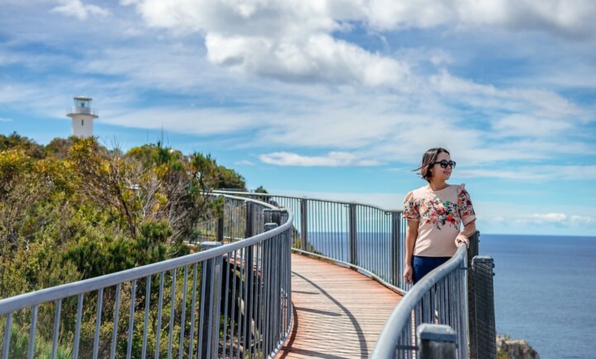 Image 22: 5 Day Island Icons Tassie Day Tour Bundle