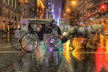 Horse Carriage Tour in New York City's Central Park Small Loop - Second Medium