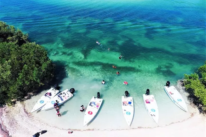 Key West Safari Eco Sandbar Tour Adventure with Snorkeling
