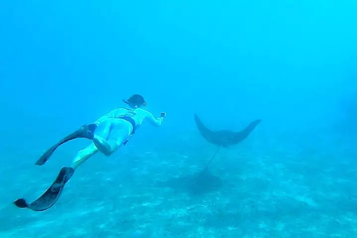 2 ½ - Hour Guided Snorkel Tour of Phil Foster park, Free Videos!