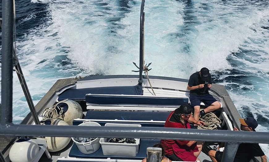 Image 44: Excursión de un día a Illetas en Formentera con Paella y Bebida