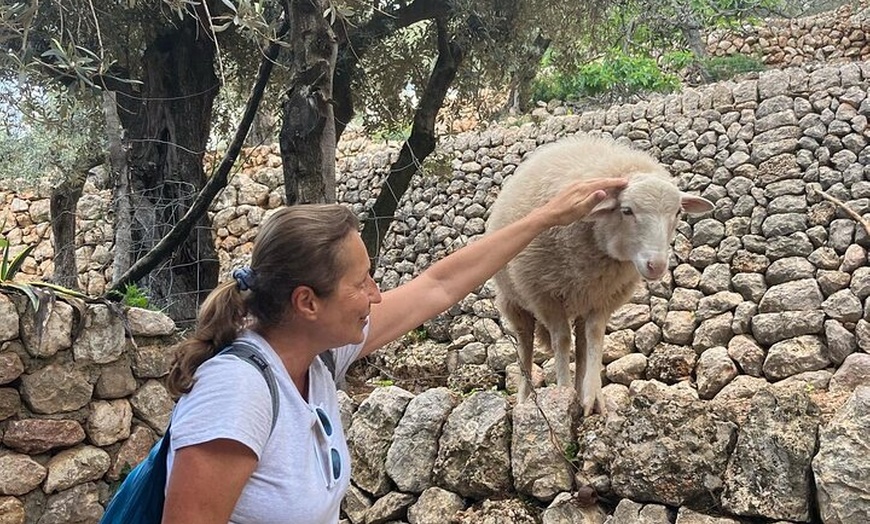 Image 29: Sierra de Tramuntana caminata con pequeño picnic