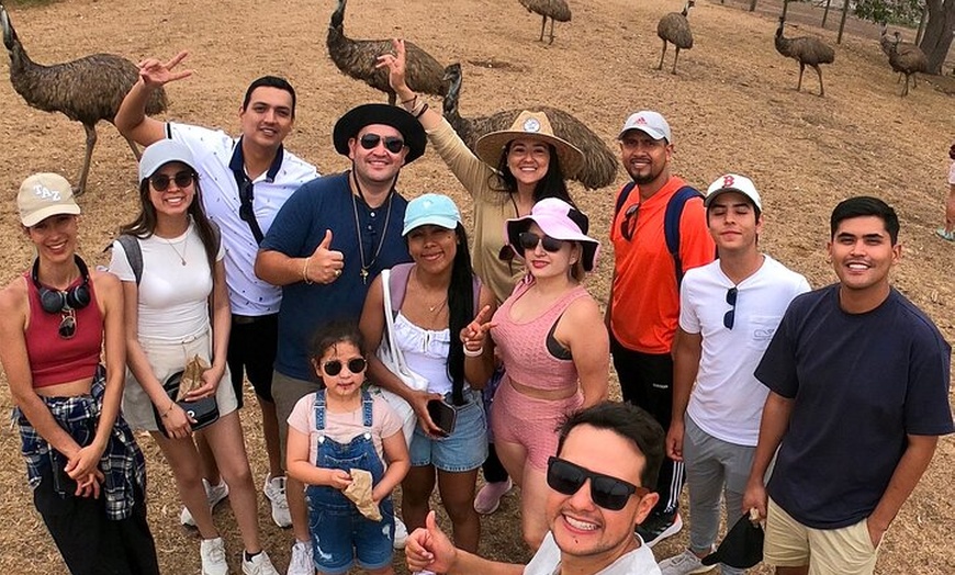 Image 20: Phillip Island Penguin Parade and Wildlife Tour from Melbourne