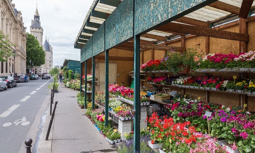 Image 20: Visite à pied de Paris Île de la Cité et Notre-Dame avec crypte