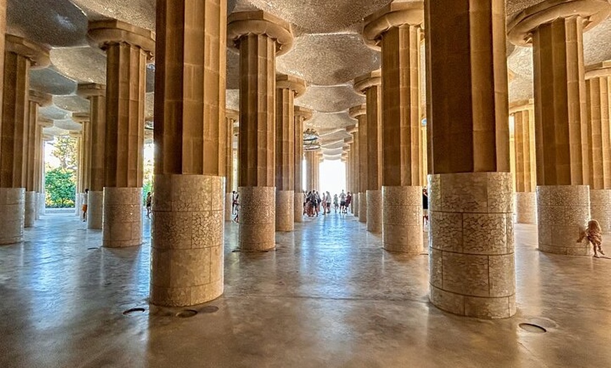 Image 17: Tour por la tarde del Park Güell