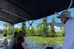 Eco Friendly Swamp Tour with Lunch Stop - Second Medium
