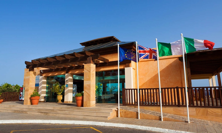 Image 13: ✈ FUERTEVENTURA | Caleta de Fuste - Caleta Dorada 3*, 4 nights - Al...