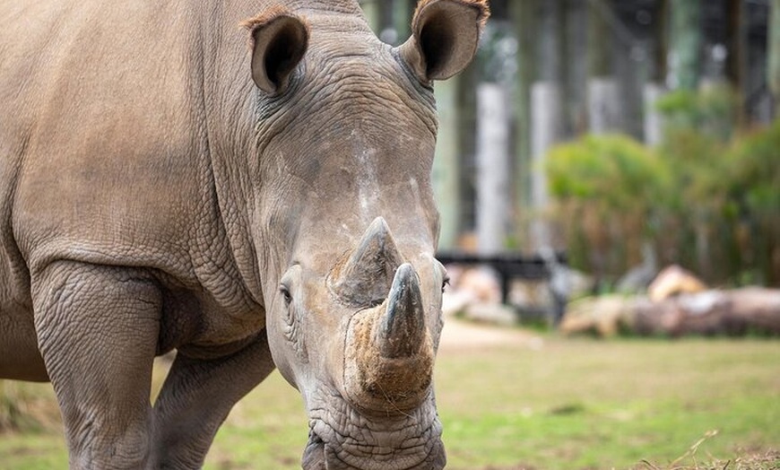 Image 4: Sydney Zoo General Entry Admission Ticket