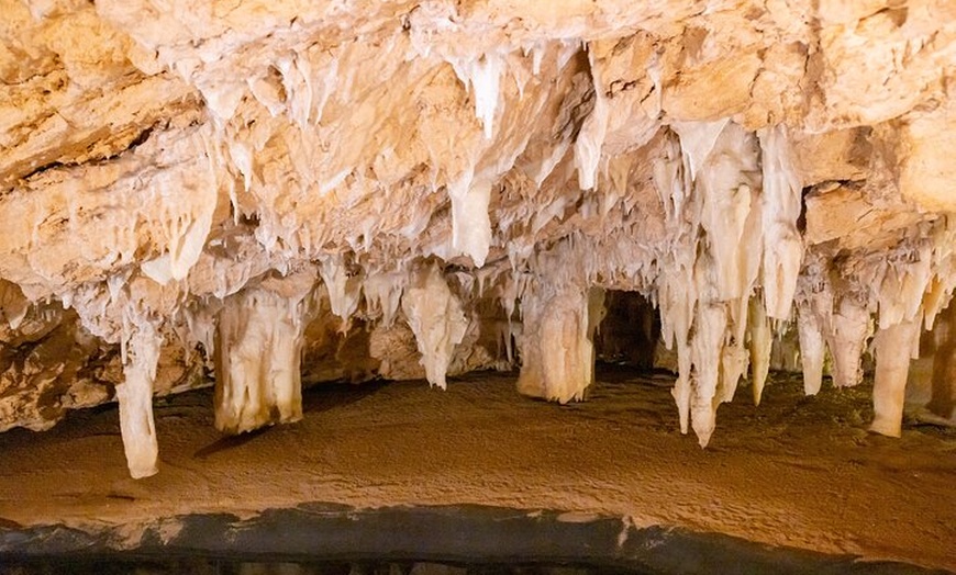 Image 10: Private Pinnacles Desert Tour from Perth