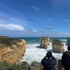 Image 9: Great Ocean Road 12 Apostles Tour - Less crowd more highlights