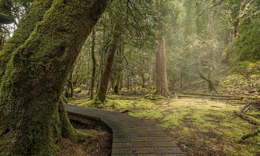 Image 5: Cradle Mountain - Hobart to Launceston Day Tour