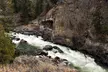 Yellowstone River Trail via Lollie's Trail Naturalist Day Hike - Second Medium