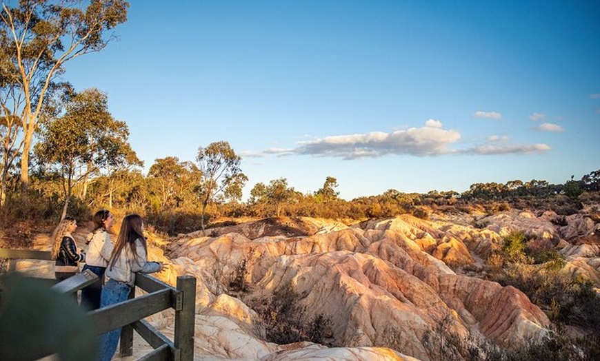 Image 9: Murray River Paddle Steamer and Wildlife Experience Tour