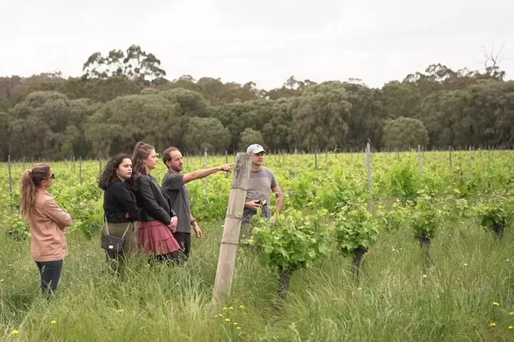 Hidden Gems: Boutique Full-Day Wine, Farm & Lunch Tour