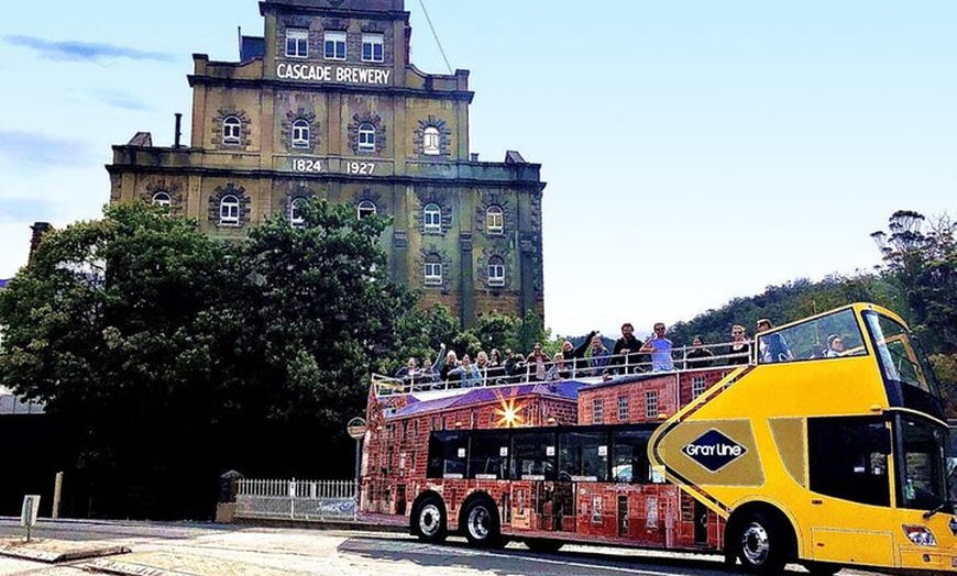 Image 5: Hobart Shore Excursion-Open Top City Explorer Tour 1.30pm