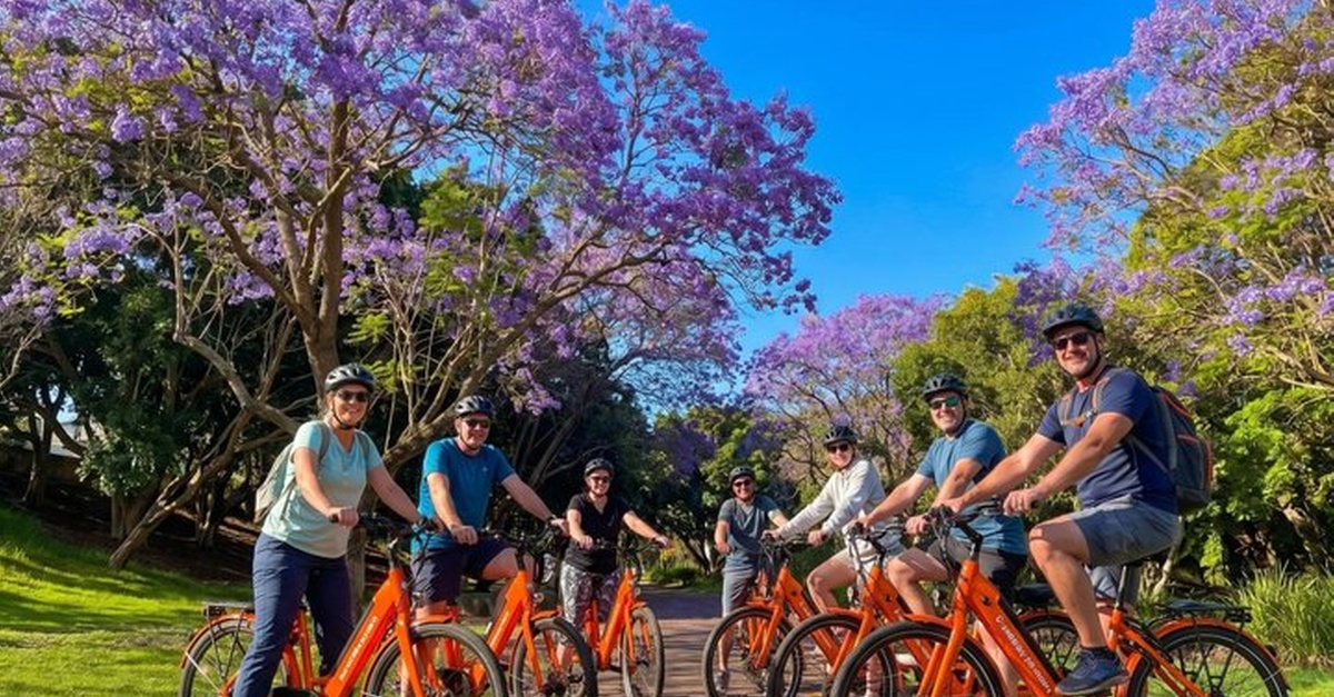 Tour en bicicleta en Santa Cruz de Tenerife con opción eléctrica