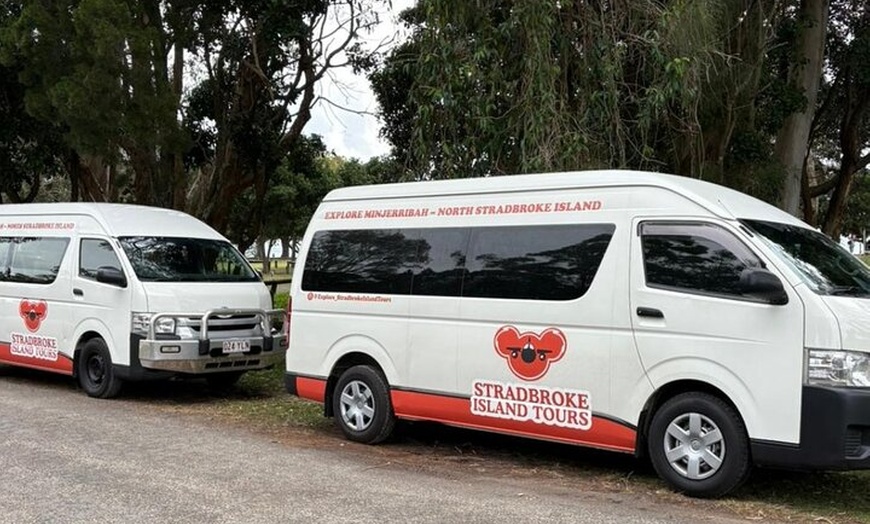 Image 7: Stradbroke Island Eco Day Trip from Brisbane – Wildlife & Beaches