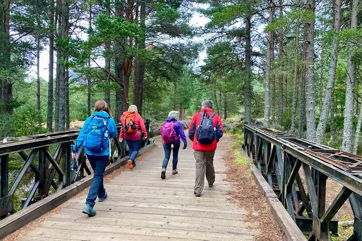 Scottish Highlands Walking Small Group Tour from Edinburgh - Primary Image