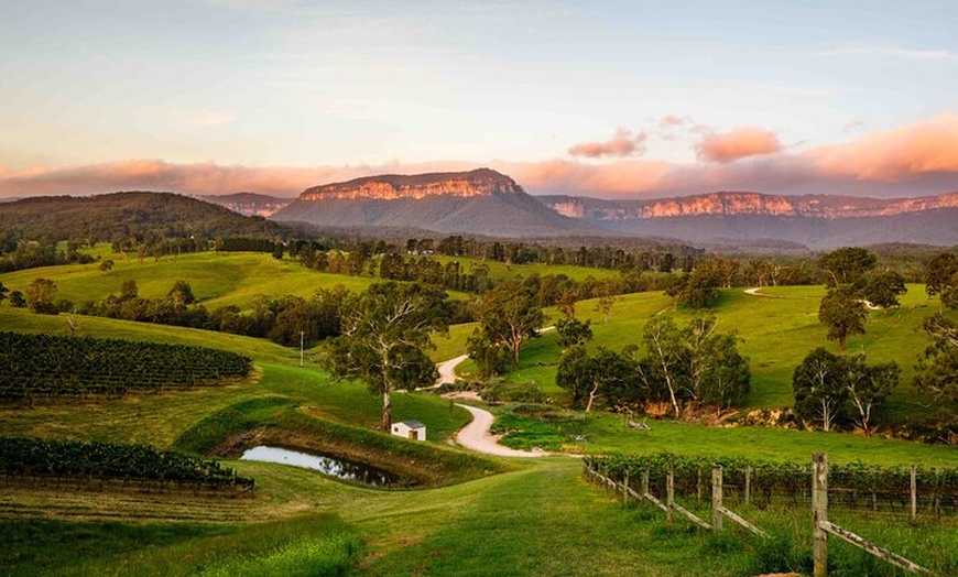 Image 4: Paddock-to Plate: Hike & Taste Sydney or the Blue Mountains