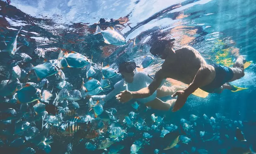 Image 2: Adventure Moreton Island Scuba Dive Tour