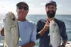 Half-Day Backcountry Fishing Charter from Key West