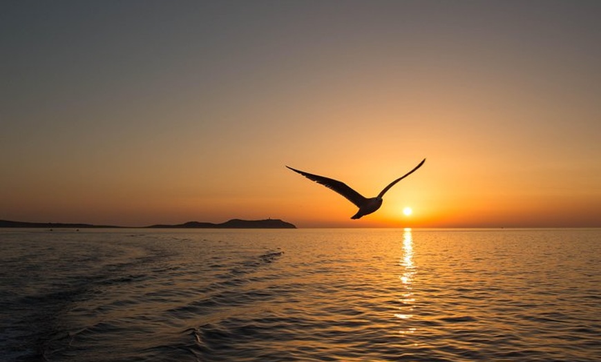 Image 12: Crucero VIP al atardecer con bebidas, paella, remos y snorkel