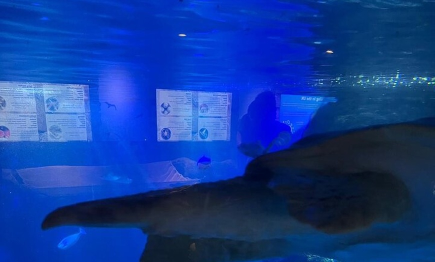 Image 35: London Walking Tour VIP