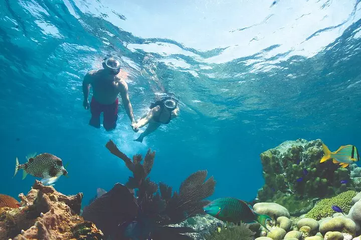 Key West Double-Dip Snorkel Tour-Two Stops, Twice the Fun!