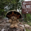 Image 6: Cancun Sightseeing El Meco Site, Letters and Shopping