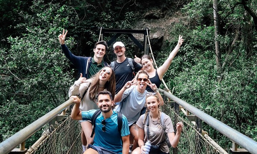 Image 2: Kangaroos, 6 Springbrook Waterfalls and Natural Bridge Day Tour