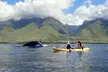 Kayak Whale Watch and Snorkel Hawaiian Islands Whale Sanctuary - Second Medium