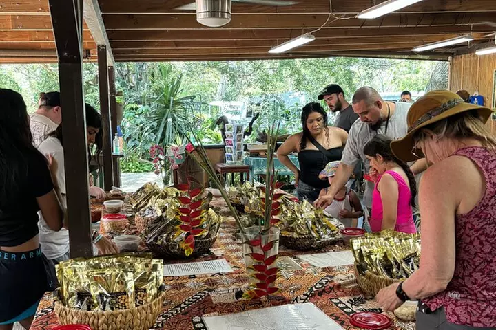 Oahu Circle Island: Snorkel with Turtles & Explore Turtle Beach