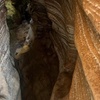 Image 19: 3 Tours Cueva del Indio Arecibo Waterfall and Old San Juan Castle