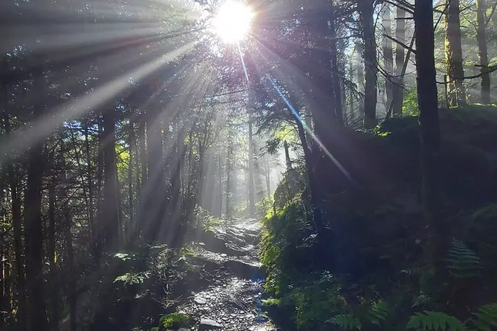 Best of the Smokies Custom Private Tour