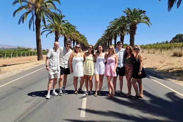 Barossa Premium Wine Tasting Tour & lunch Departs 7 days a week