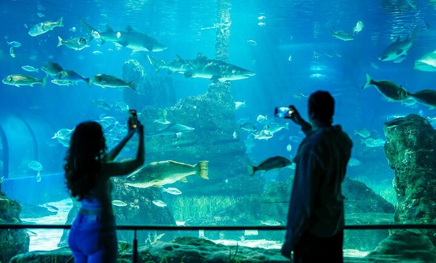 Image 1: Entrada sin colas para el Acuario de Barcelona