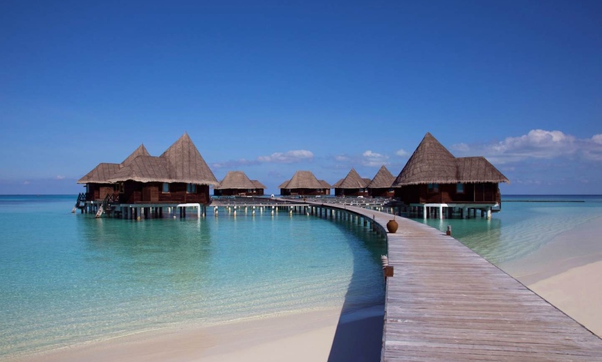 Image 20: ✈ MALDIVES | Dhunikolhu - Coco Palm Dhuni Kolhu 5* - Tout inclus