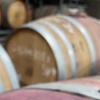 Image 3: Experience SA Clare Valley Private Wine Tour