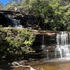 Image 14: Blue Mountains Private Tour & Hidden Gems, Pick up & Drop off