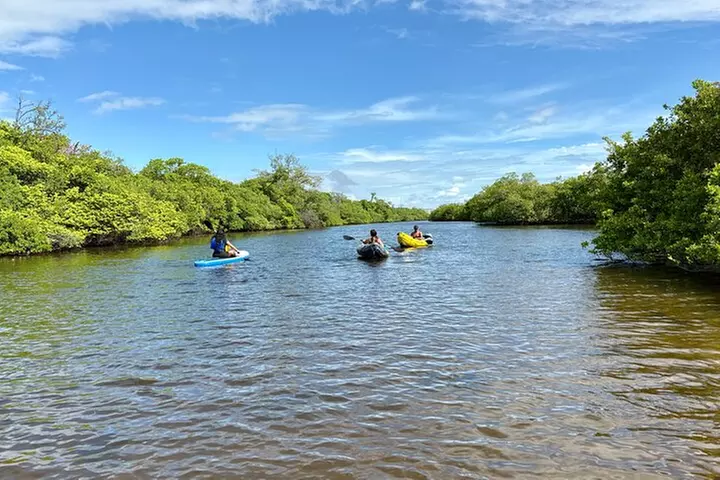 Fort Lauderdale: Kayak/SUP on Mangroves w/ Snacks & Drinks