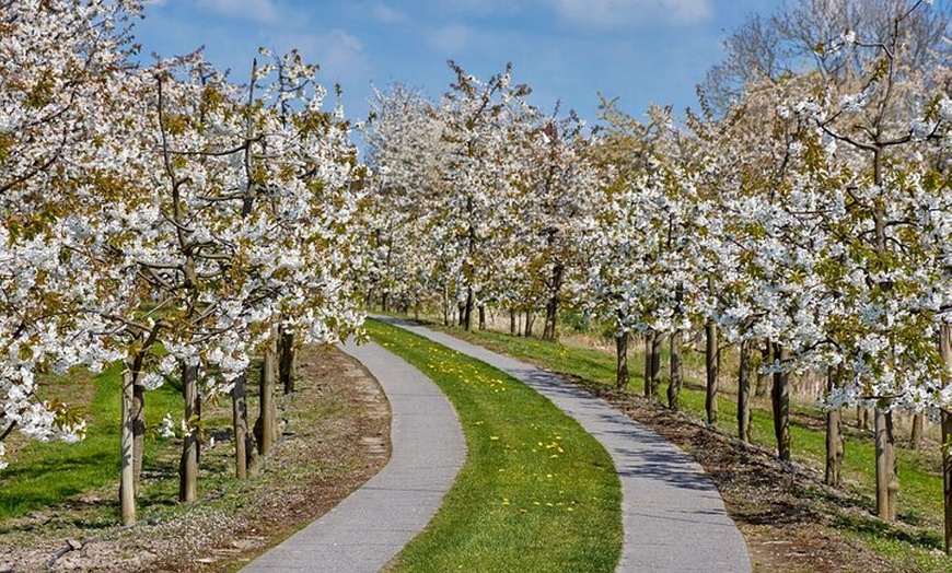 Image 4: Private Natur- und Landwirtschaftstour Altes Land ab Hamburg
