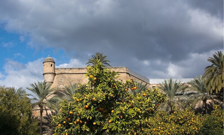 Image 8: Palma de Mallorca: Tour a pie en grupo reducido