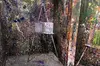 $17.50 For 2 Persons In Splatter Box Including 2 8x10 Canvases (Reg $35)