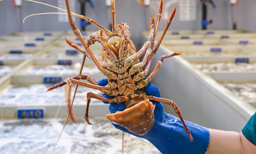 Image 4: Behind-The-Scenes Ocean Harvest Tour