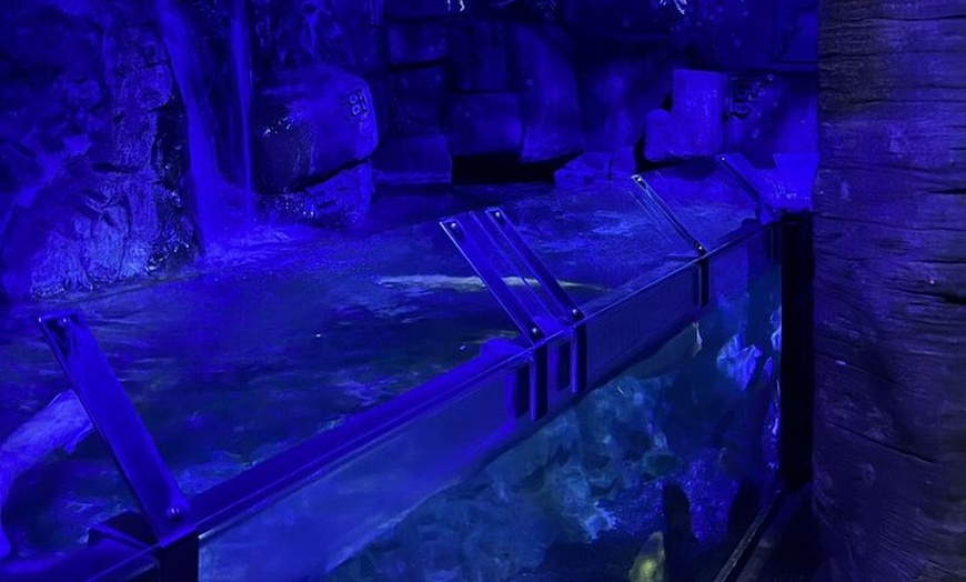 Image 32: Luxury Private Tour in London