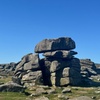 Image 1: Half day Guided Dartmoor Tour